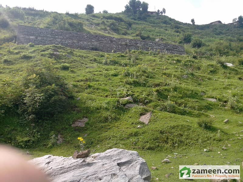 Commercial Plot In Malam Jabba