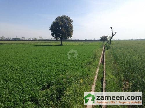 18 Acre Agricultar Land For Sale In Metla Sialkot Daska Area
