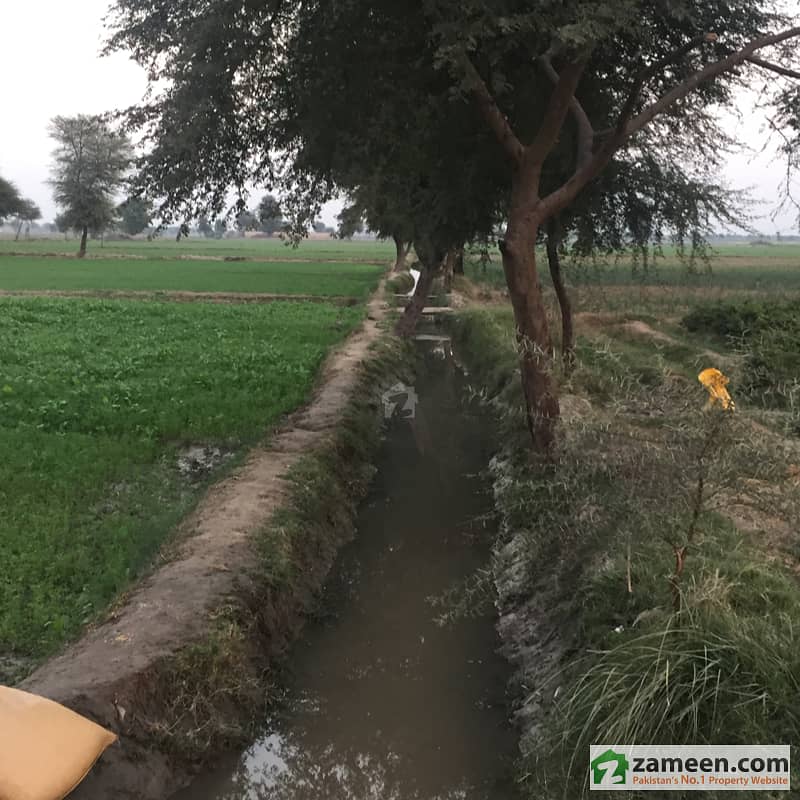 Agriculture Land In Nwabshah Jam Shab Road 35 Acre Nawabshah ID7522418 ...