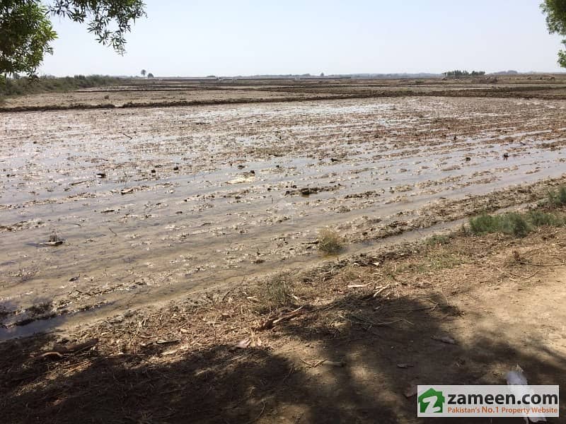 32 Acres Of Fertile Agricultural Land In Gharo Gharo ID6317981