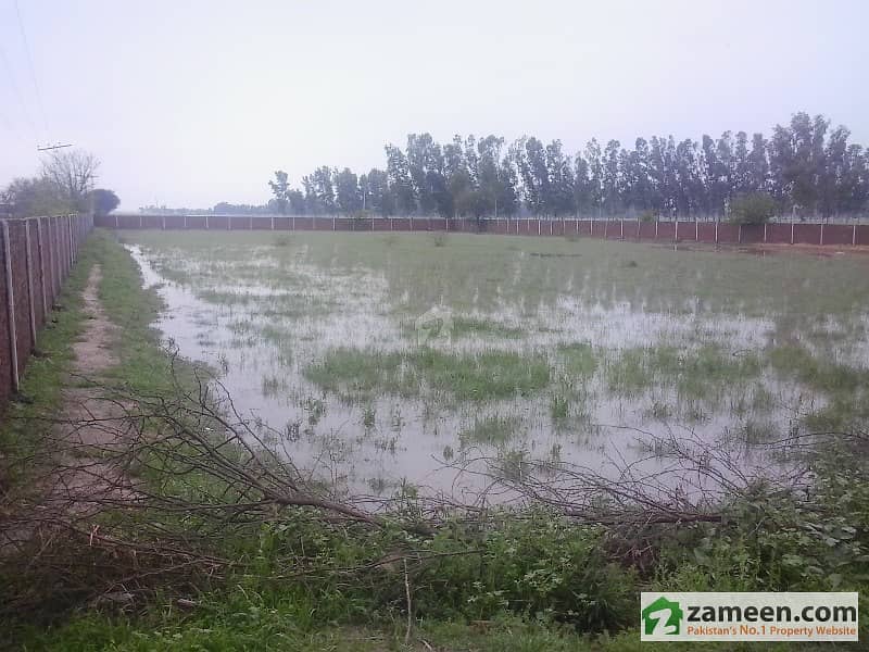 لاہور - شیخوپورہ - فیصل آباد روڈ شیخوپورہ میں 16 کنال زرعی زمین 1 کروڑ میں برائے فروخت۔