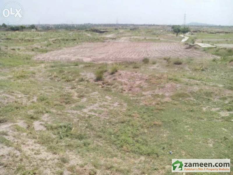 Salar Chowk - 4 Kanal Agricultural Land For Sale Salar Chowk - 4 Kanal Agricultural Land For Sale