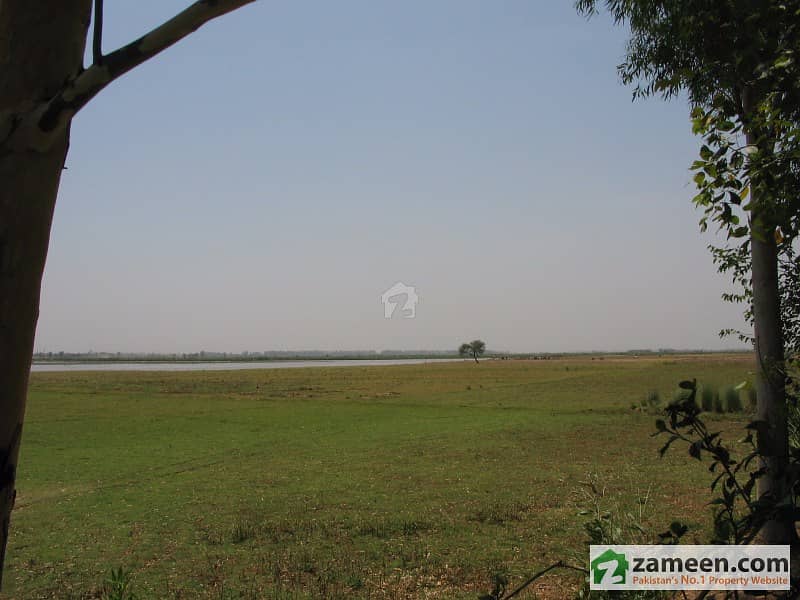 125 Acre Fertile Land For Sale - Near Lahore