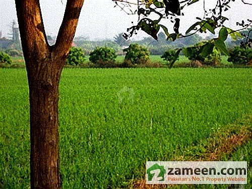 Very Fertile Agricultural Land For Sale