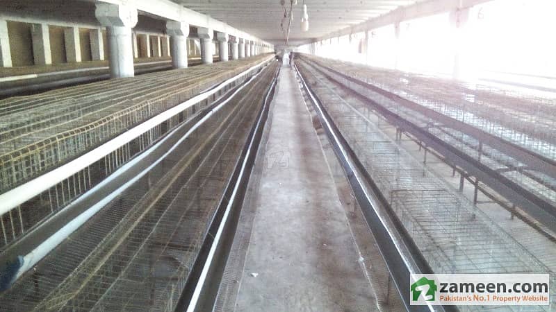 Poultry Farm For Sale Poultry Farm For Sale