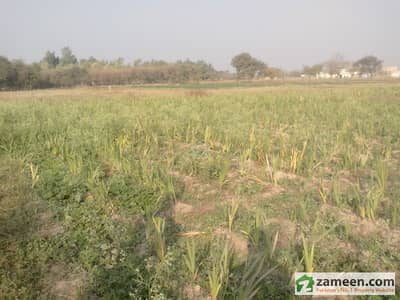 48 Kanal Land For Sale