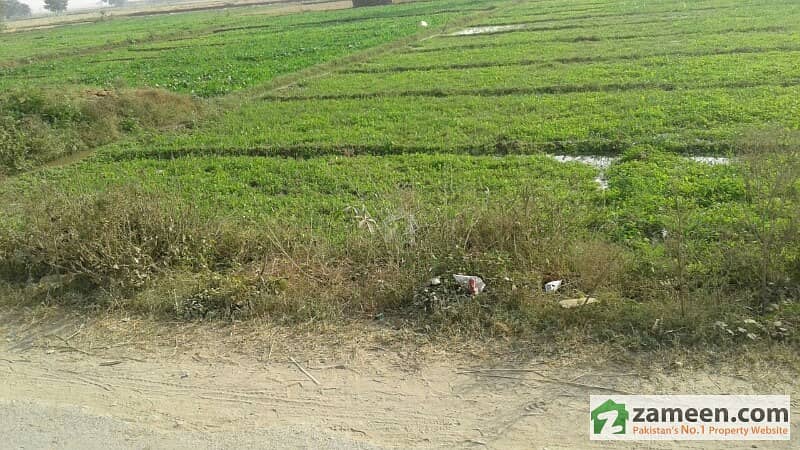 Plot For Sale In Chobara