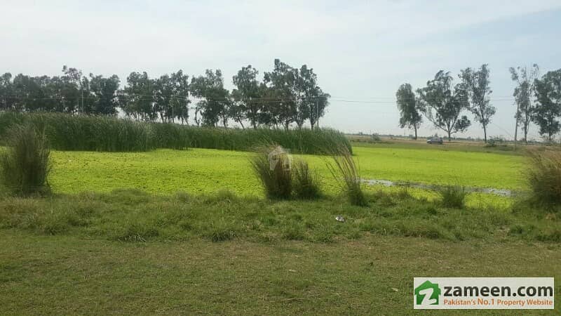 A Plot At Alo Mahar Main Daska Road A Plot At Alo Mahar Main Daska Road