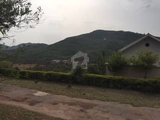 Plot In Judicial Town PPCHS Near Chattar Park Plot In Judicial Town PPCHS Near Chattar Park