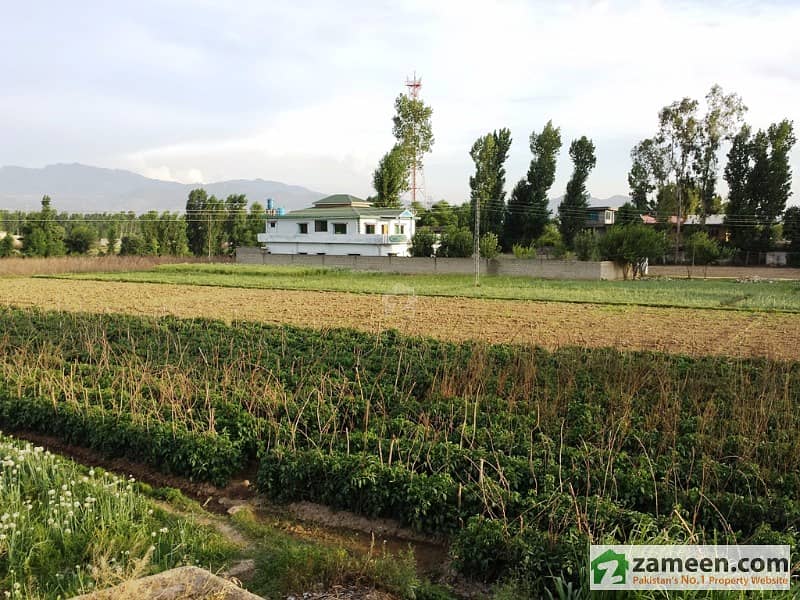 Land For Sale Near Hazara University On Main KKH Dhodial Mansehra Land For Sale Near Hazara University On Main KKH Dhodial Mansehra