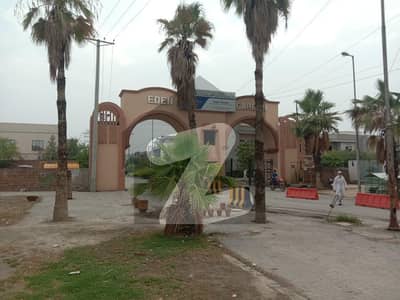 ایڈن گارڈن - بلاک اے ایڈن گارڈنز فیصل آباد میں 4 مرلہ رہائشی پلاٹ 66 لاکھ میں برائے فروخت۔