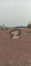 32 