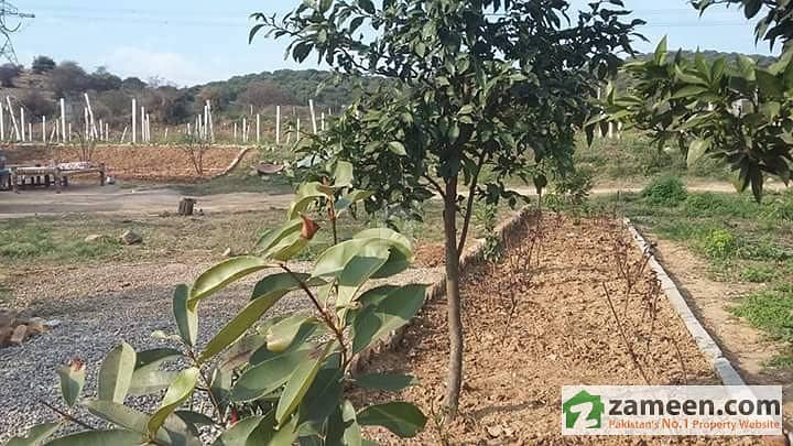 Agricultural Land For Sale Agricultural Land For Sale