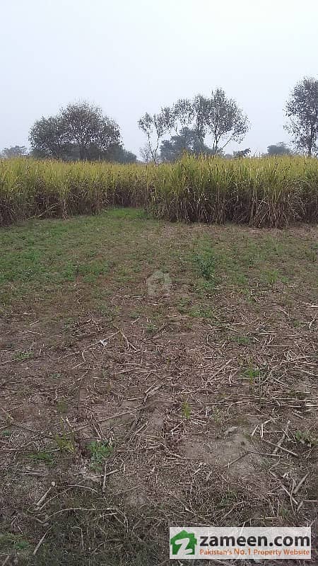 5 Acre Agriculture Land Near Huq Bahu Sultan Darbar Before Muzafargarh