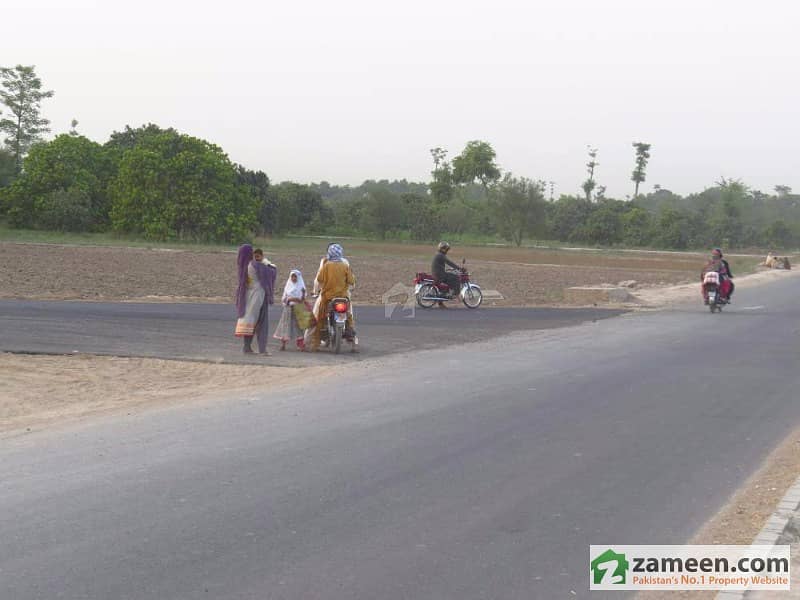 Commercial Plot Available On Multan Shujabad Expressway Commercial Plot Available On Multan Shujabad Expressway