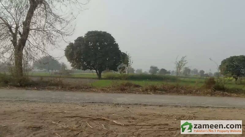 11 Acre 07 Kanal Agricultural Land For Sale Near Gojra