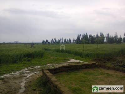 Finest Agriculture Land For Sale