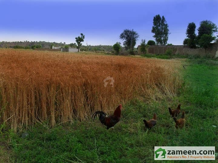 Land For Sale In Darkali Mamuri - Great Investment Opportunity Land For Sale In Darkali Mamuri - Great Investment Opportunity