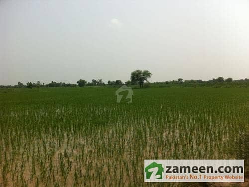 61 Acre Agricultural Land For Sale