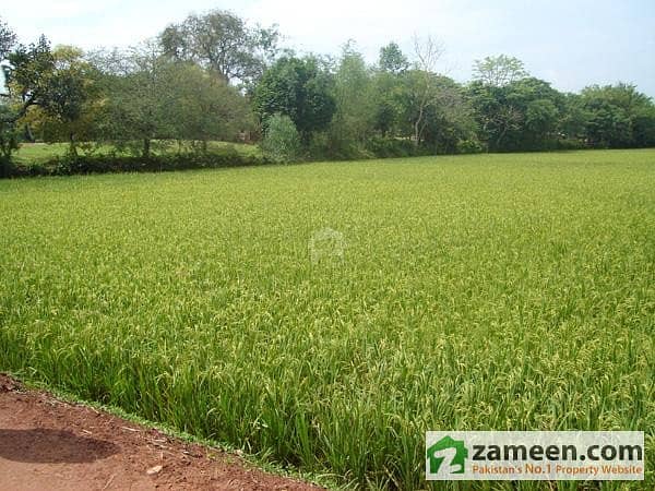 Agriculture Land For Sale