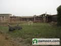 2 Farm and Birds