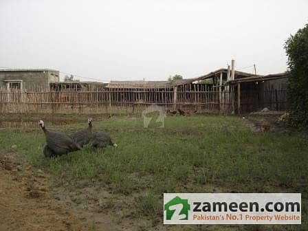 2 Farm and Birds