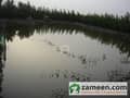 9 Fish Farm