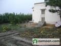 10 Kitchen Garden