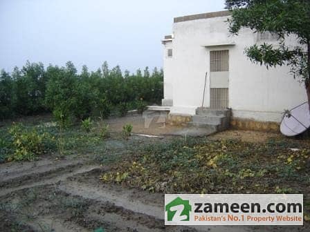 10 Kitchen Garden