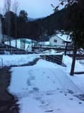5 The compound in the winter