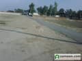 1 Plot View