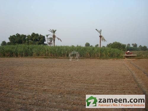 Agricultural Land View