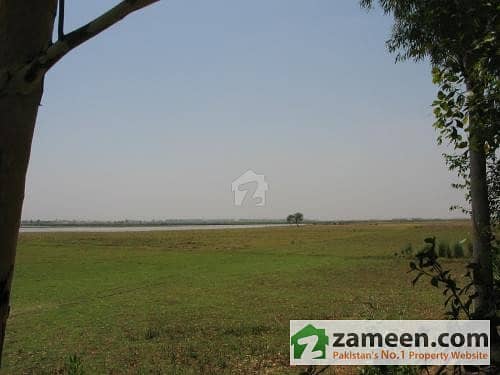 2 Agricultural Land View