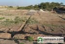 1 Plot View