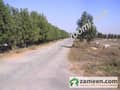 1 Road View
