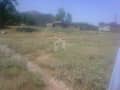 2 Plot View