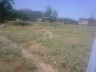 2 Plot View