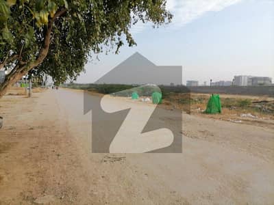 Ready To Buy A Facing Park Commercial Plot 300 Square Yards In Gulshan-e-Maymar - Sector Q