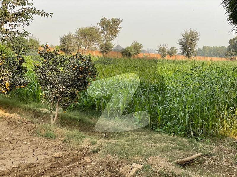 Sharaqpur Sheikhupura Road 28 Acre Agric Land For Housing Society Is For Sale