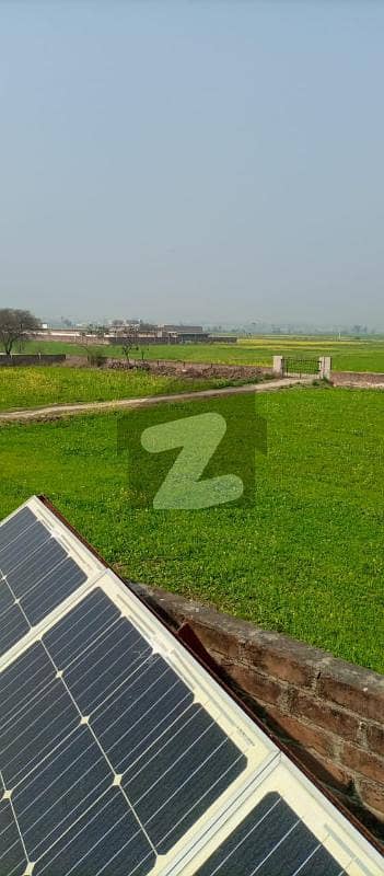 جی ٹی روڈ لاہور میں 15.14 کنال زرعی زمین 3.1 کروڑ میں برائے فروخت۔