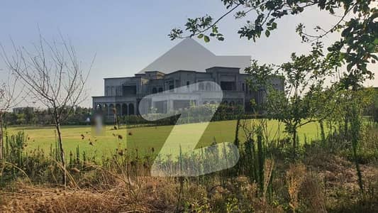 Farm House For Sale In Beautiful Gulberg Greens