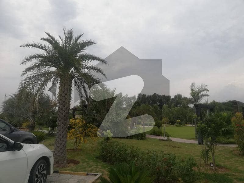 5 Marla Plot At a Beautiful Location For Sale Top City 1 Block G, Top