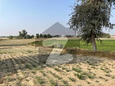 Navy Allotted Agricultural 50 Acres Land For Sale in Mouza Karlu Wala  Mankera District Bhakkar