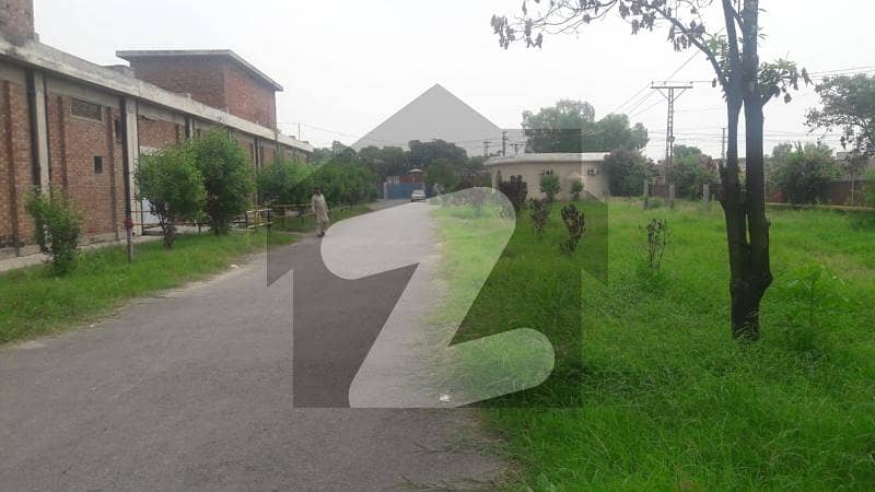 ما نگا - رائیونڈ روڈ لاہور میں 11 کمروں کا 156 کنال فیکٹری 100 کروڑ میں برائے فروخت۔