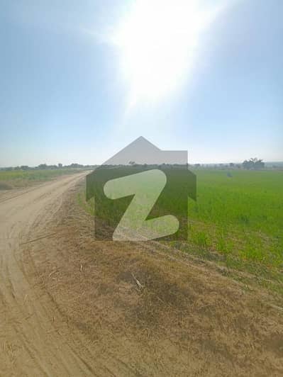 Agricultural land For Sale
2100 Kanal All Cultivating Arable land
Front 1 Kilometer
