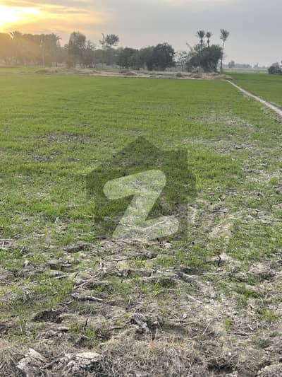 فتح پور کمال رحیم یار خان میں 128 کنال زرعی زمین 3.9 کروڑ میں برائے فروخت۔