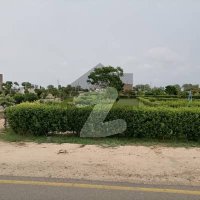 Royal Palm City Sahiwal 14.7 Marla Residential Plot Up For sale