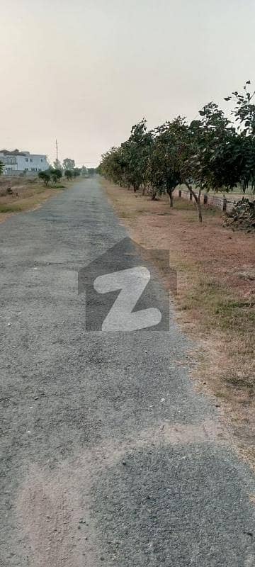 Facing Park C Block 1 Kanal Plot For Sale In Sui Gas Society