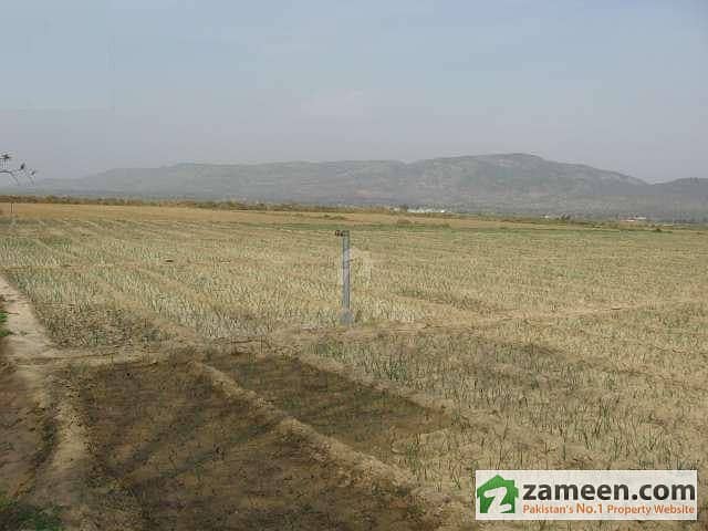 Farm House Plot For Sale - Near To Nilore Factory Farm House Plot For Sale - Near To Nilore Factory