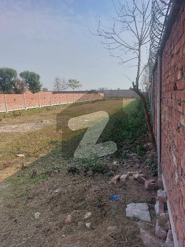 2 Kanal Farm House Plot For Sale 2 Kanal Farm House Plot For Sale